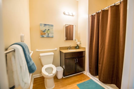 Sudley Manor Apartment Bathroom
