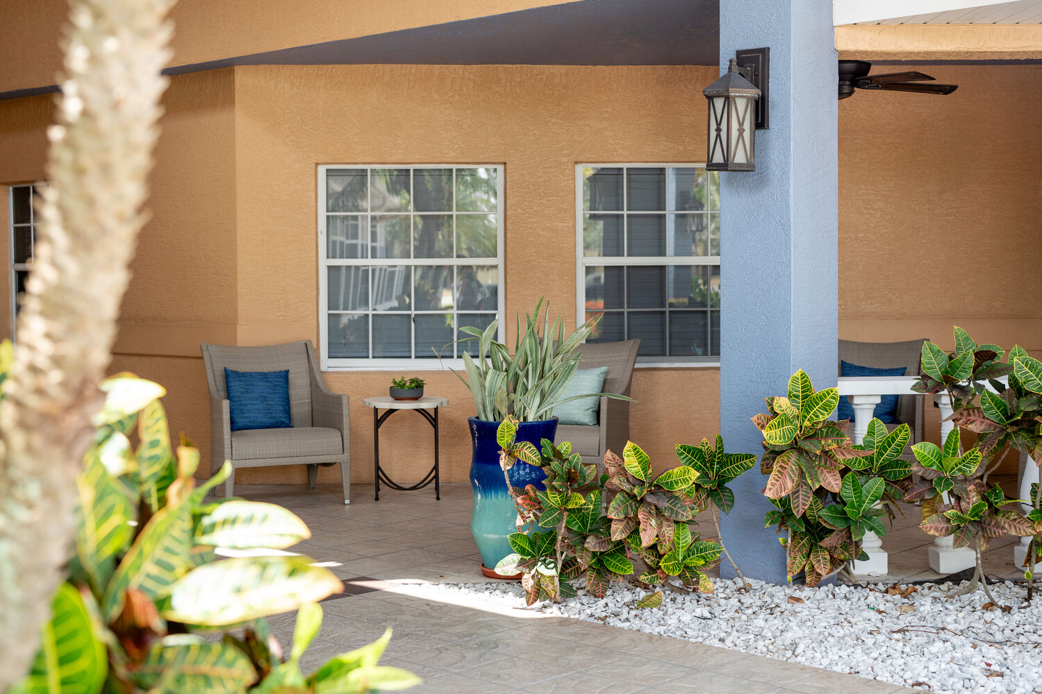 Fort Myers 2025 Garden